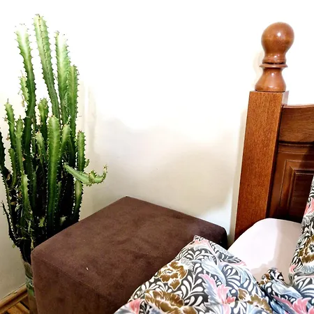 Vintage Apartment *
