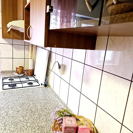 Vintage Apartment *